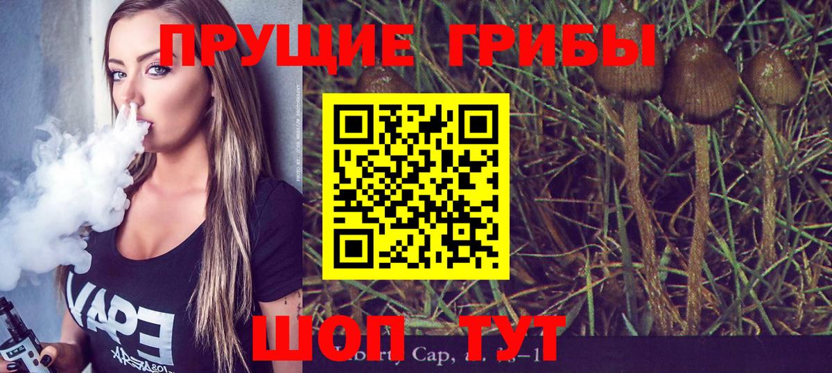 Псилоцибиновые грибы Cubensis  Вход с VPN  Клин  Псилоцибиновые грибы ЛСД 